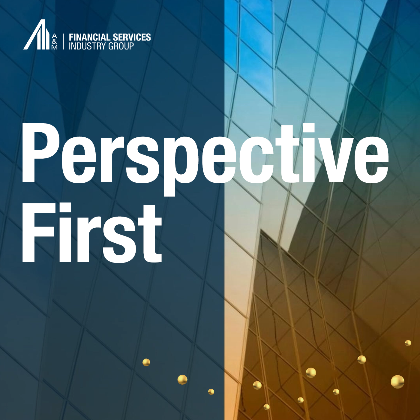 Perspective First Podcast Cover Image