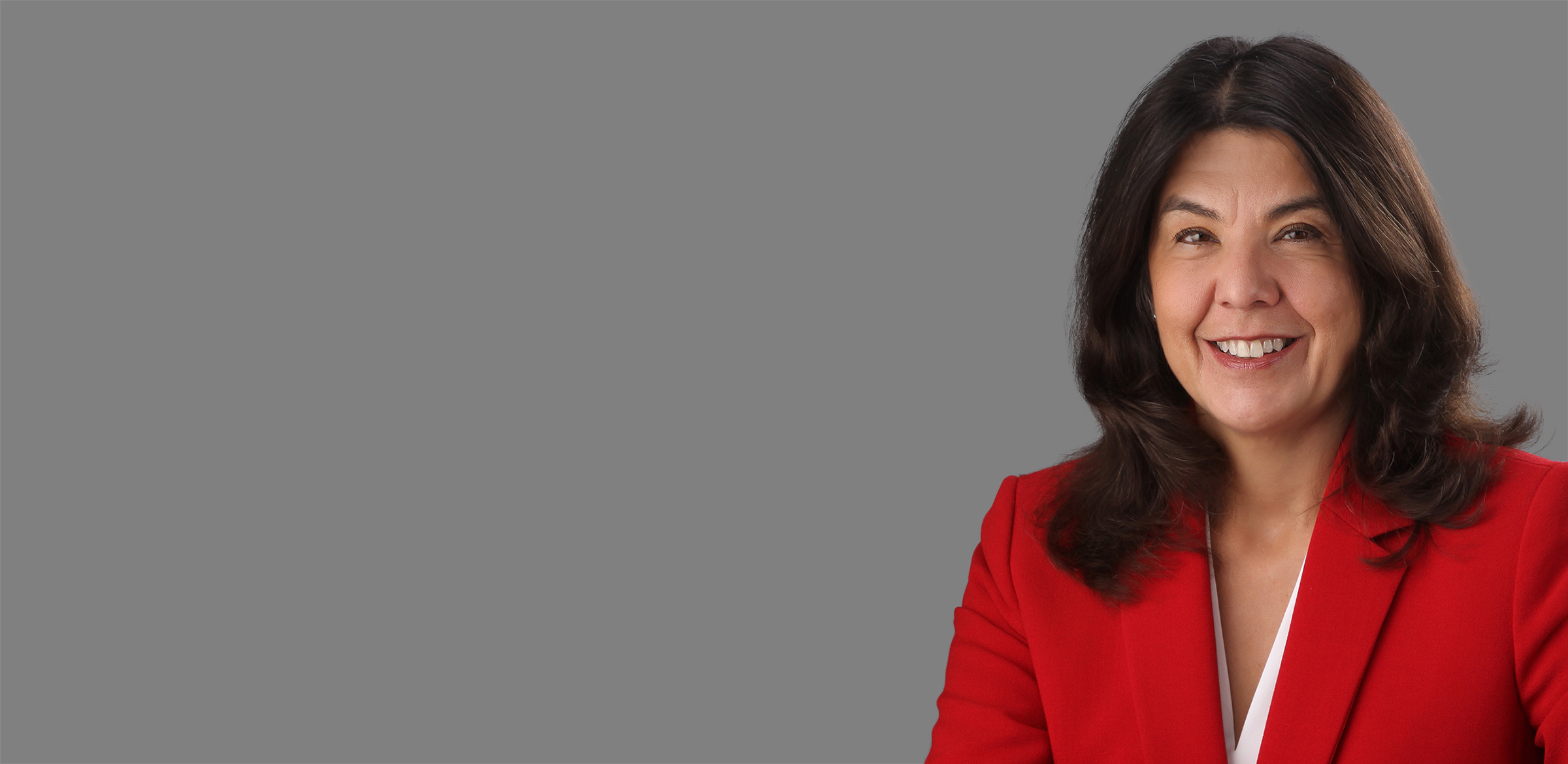 Disputes and Investigations | Criminal Investigations | Anita Alvarez