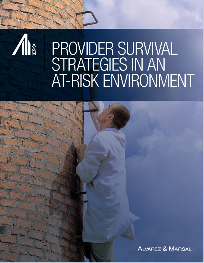 Healthcare Consulting Firms | Provider Survival Strategies in an At-Risk Environment